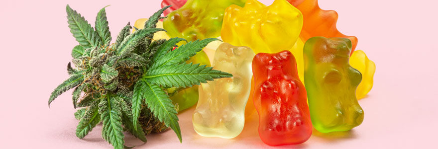 cbd gummies