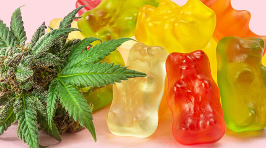 que-valent-les-gummies-au-cbd